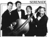 Serenade Standard 4-Piece Promo